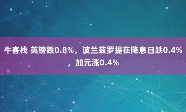 牛客栈 英镑跌0.8%，波兰兹罗提在降息日跌0.4%，加元涨0.4%